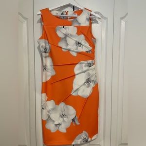 Calvin Klein Body con Dress.